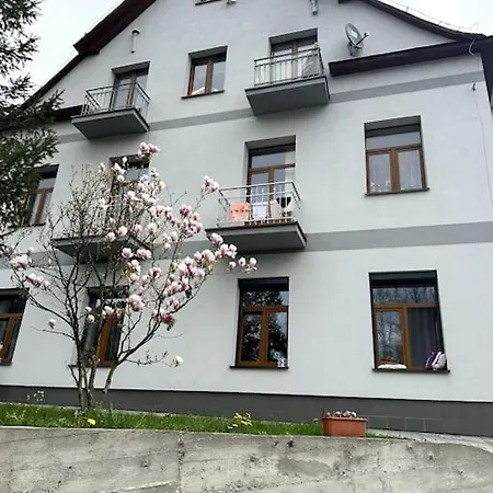 Nad Potokiem Apartament Krynica-Zdrój